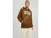 Jack & Jones Jjecorp Erkek Kapüşonlu Sweatshirt